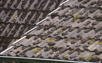 How to Clean Algae on a Roof