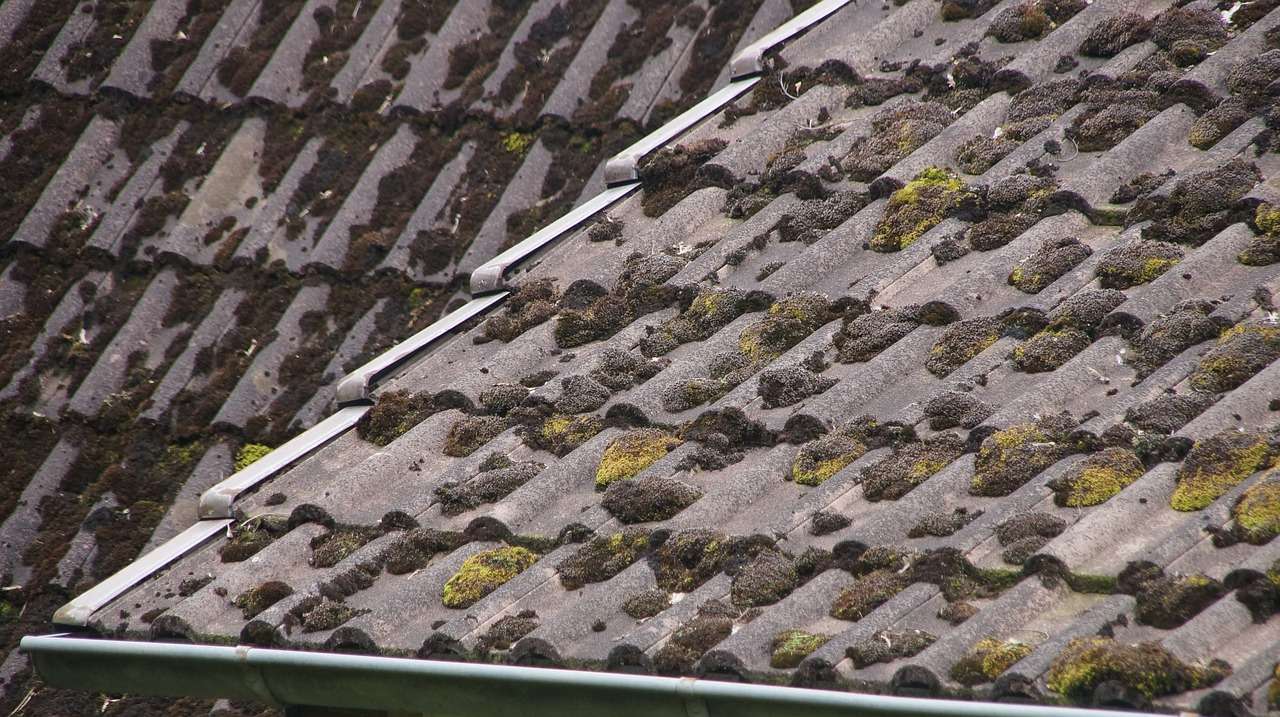 how to clean algae on a roof